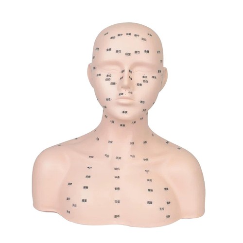 Tête mannequin compacte - tête,