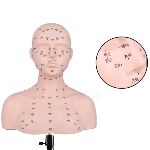 Tête mannequin pour - tête,